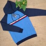 Men's Premium Hoodie | HD08-Blue - Image 2